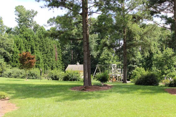 Lookin' Out My Backyard