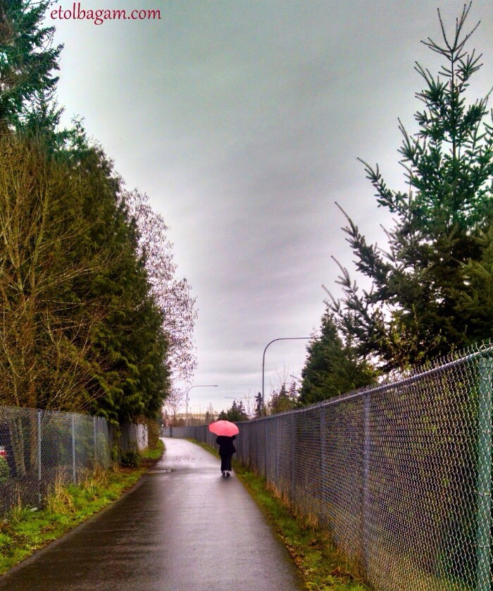 photo-20151221094040602