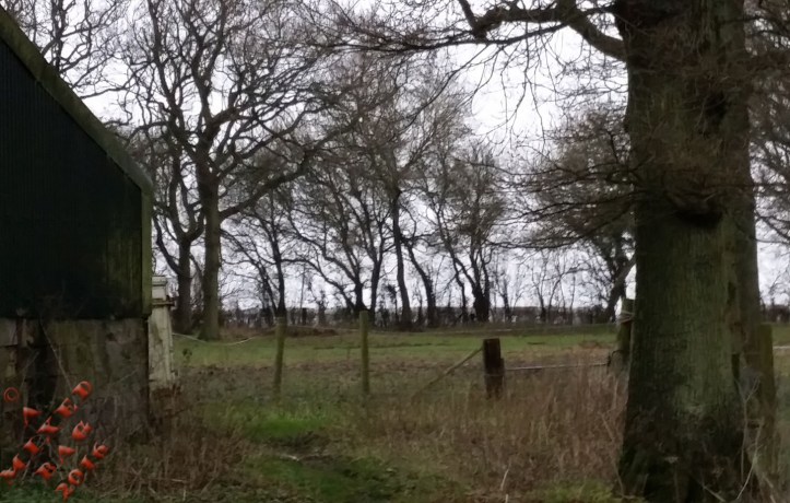 138-01-january-10th-2016